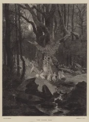 El Roble de las Hadas